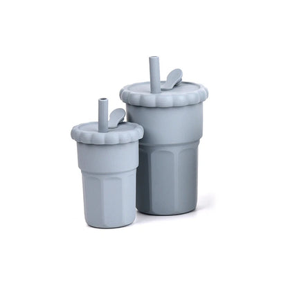 2 Piece Silicone Straw Cup Set